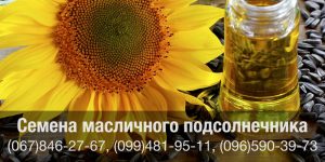 Купить семена подсолнечника масличных сортов