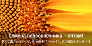 Купить семена подсолнечника оптом в Украине — канадские семена