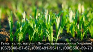Купить гумат калия натрия в Украине – Цены, лучшие предложения!