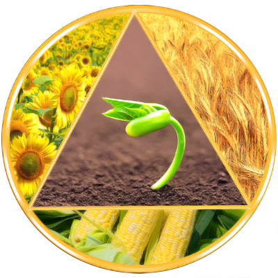 AgroImportSemena