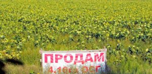 Висунуто ряд умов для запуску ринку землі в Україні